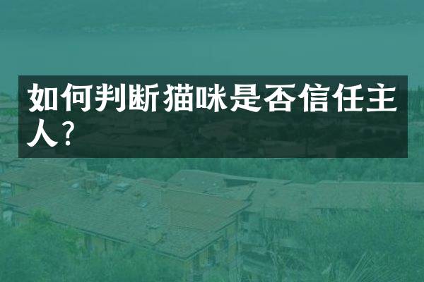 如何判断猫咪是否信任主人？