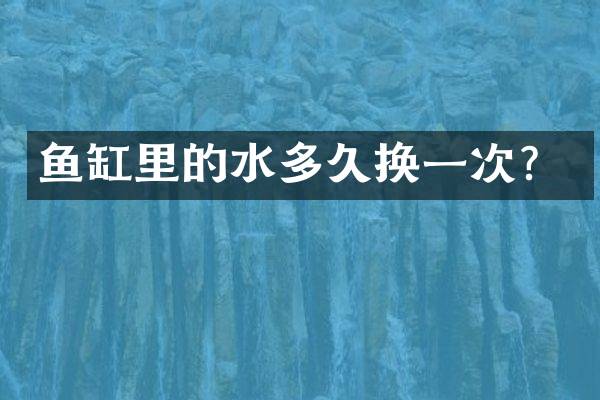 鱼缸里的水多久换一次？