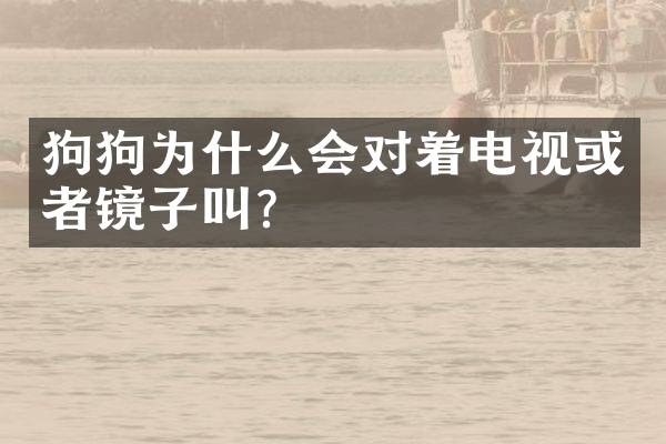 狗狗为什么会对着电视或者镜子叫？