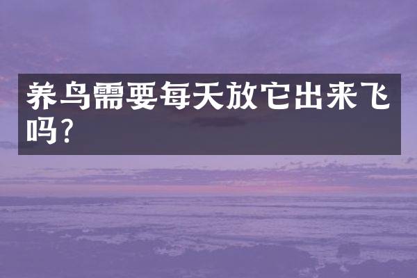 养鸟需要每天放它出来飞吗？