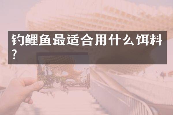钓鲤鱼最适合用什么饵料？