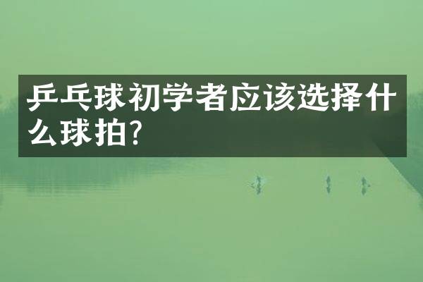 乒乓球初学者应该选择什么球拍？