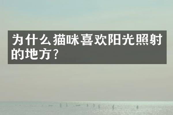 为什么猫咪喜欢阳光照射的地方？