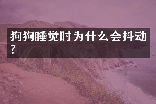 狗狗睡觉时为什么会抖动？
