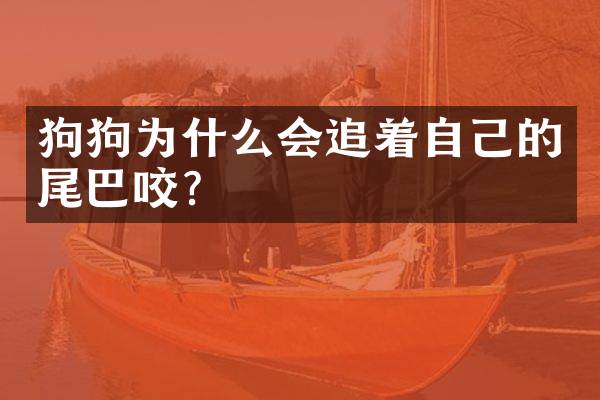 狗狗为什么会追着自己的尾巴咬？