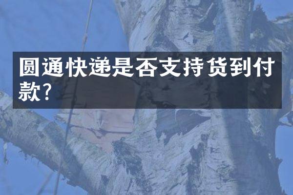 圆通快递是否支持货到付款？