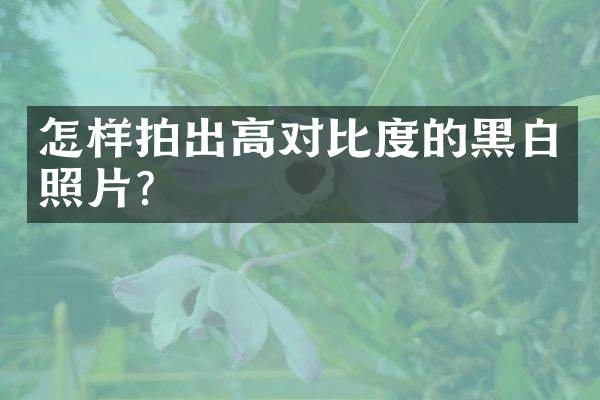 怎样拍出高对比度的黑白照片？