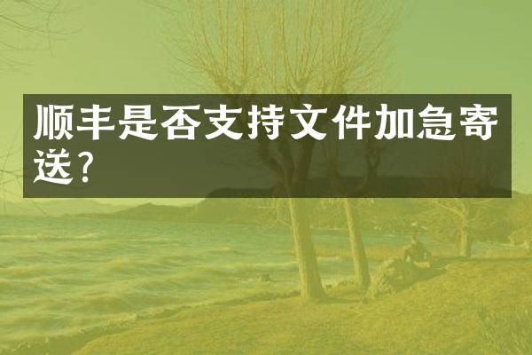 顺丰是否支持文件加急寄送？