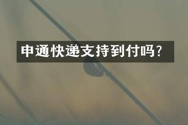 申通快递支持到付吗？