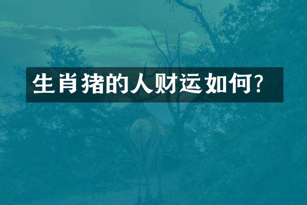 生肖猪的人财运如何？
