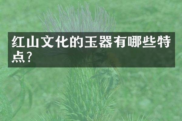红山文化的玉器有哪些特点？