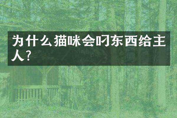 为什么猫咪会叼东西给主人？
