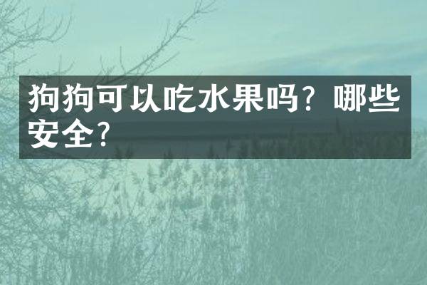 狗狗可以吃水果吗？哪些安全？
