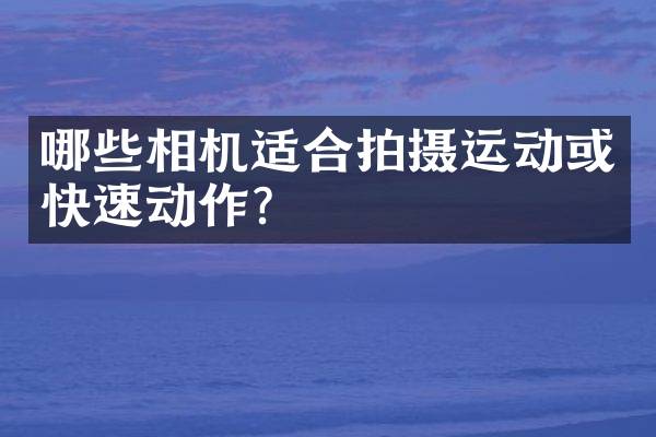 哪些相机适合拍摄运动或快速动作？