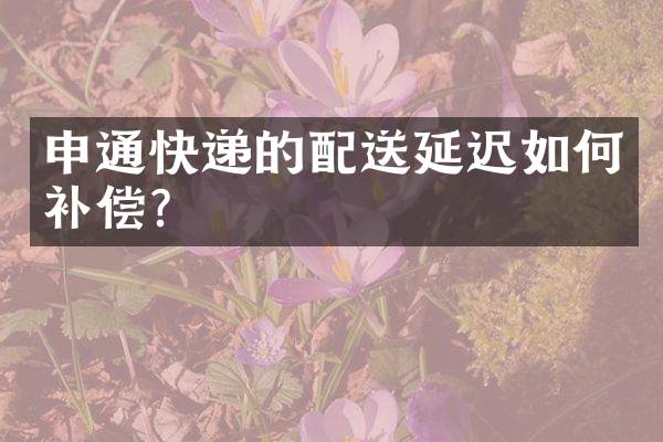 申通快递的配送延迟如何补偿？