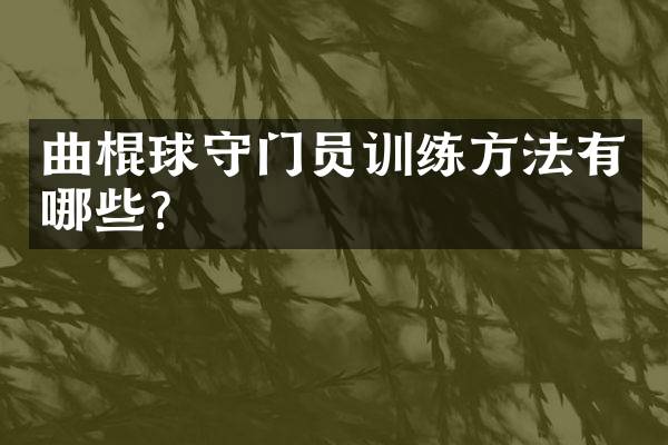 曲棍球守门员训练方法有哪些？