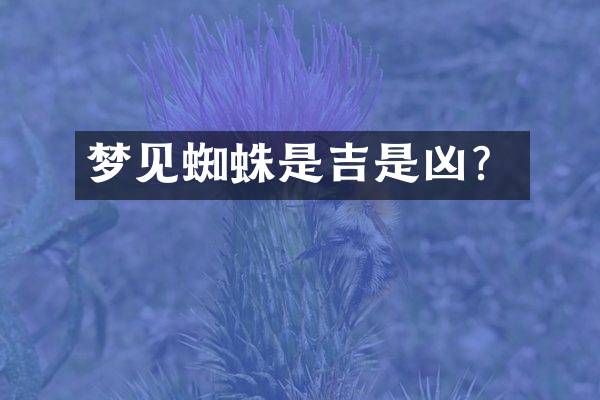 梦见蜘蛛是吉是凶？