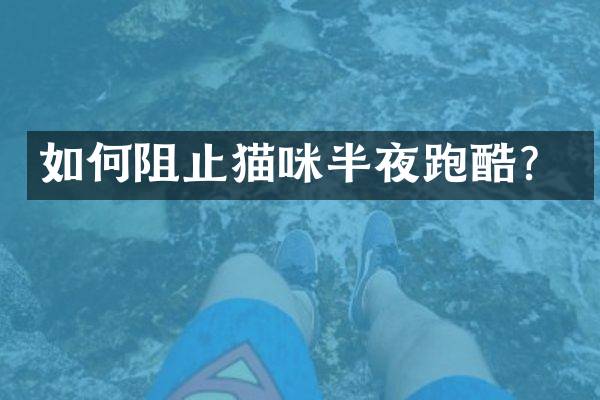 如何阻止猫咪半夜跑酷？