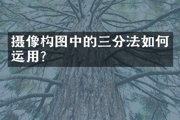 摄像构图中的三分法如何运用？