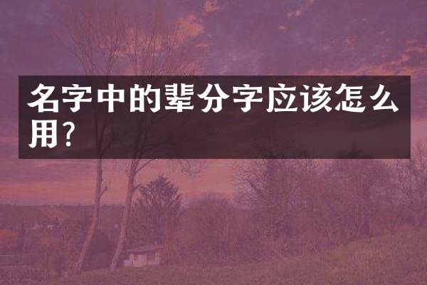 名字中的辈分字应该怎么用？
