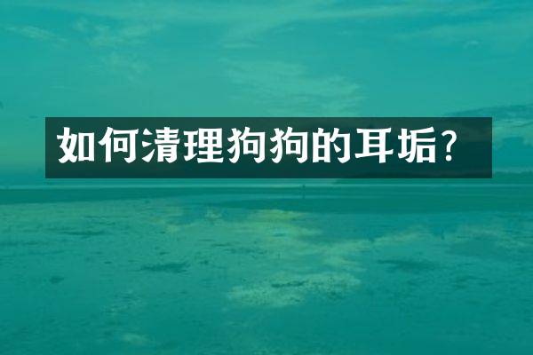 如何清理狗狗的耳垢？