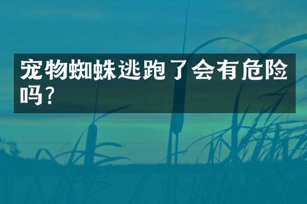 宠物蜘蛛逃跑了会有危险吗？