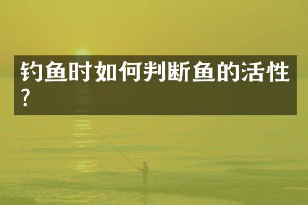 钓鱼时如何判断鱼的活性？