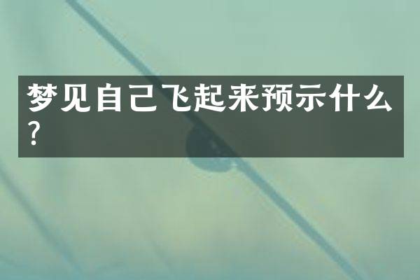 梦见自己飞起来预示什么？
