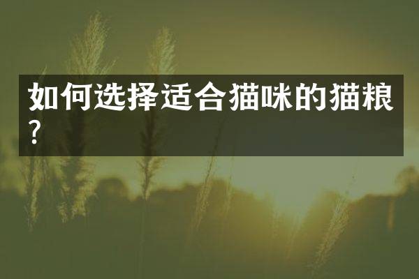 如何选择适合猫咪的猫粮？