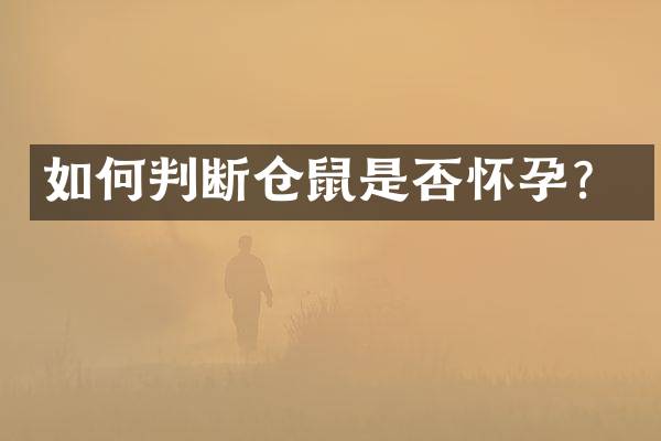 如何判断仓鼠是否怀孕？