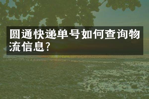 圆通快递单号如何查询物流信息？
