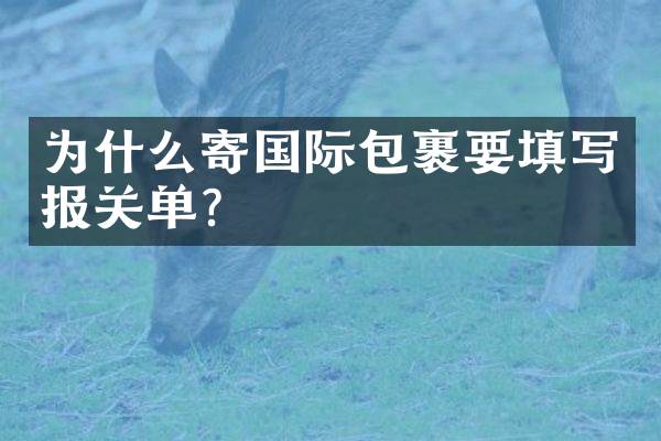 为什么寄国际包裹要填写报关单？