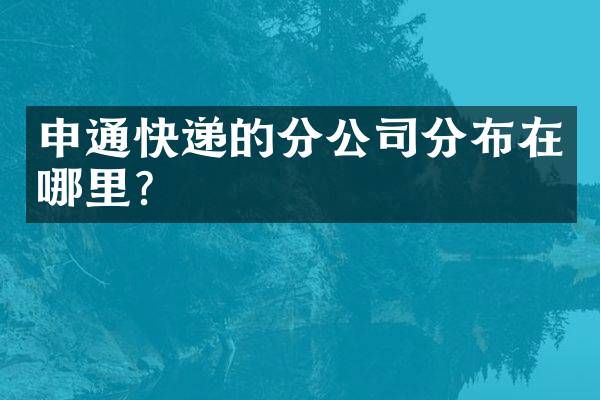 申通快递的分公司分布在哪里？