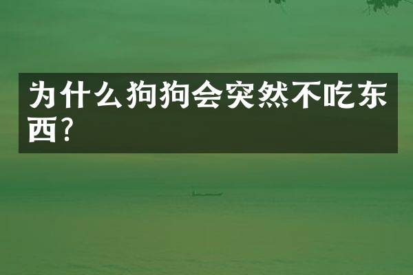 为什么狗狗会突然不吃东西？