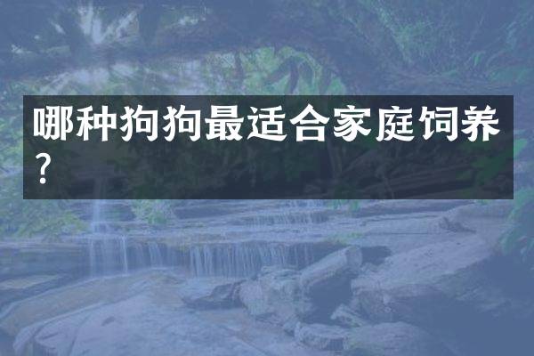 哪种狗狗最适合家庭饲养？