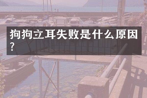 狗狗立耳失败是什么原因？