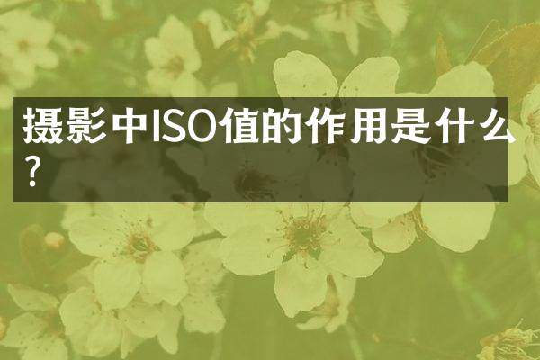 摄影中ISO值的作用是什么？