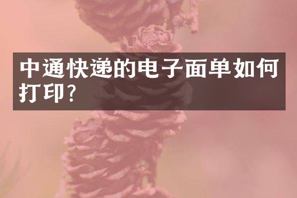 中通快递的电子面单如何打印？