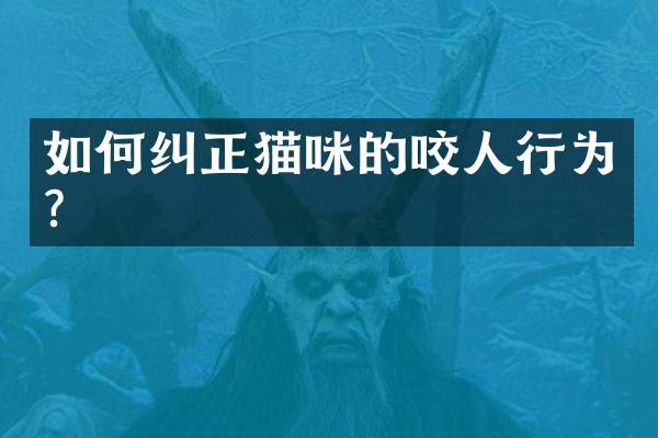 如何纠正猫咪的咬人行为？