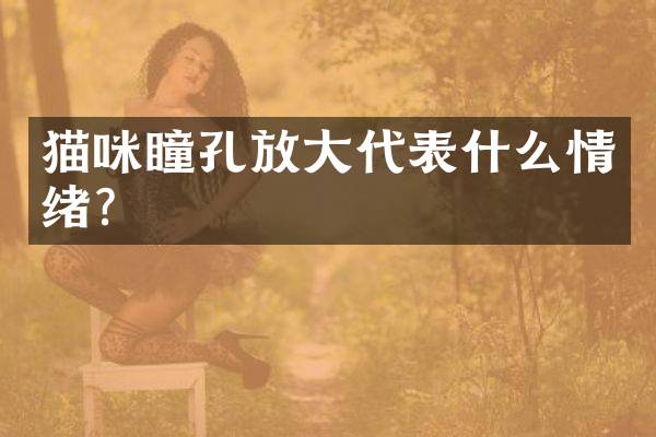 猫咪瞳孔放大代表什么情绪？