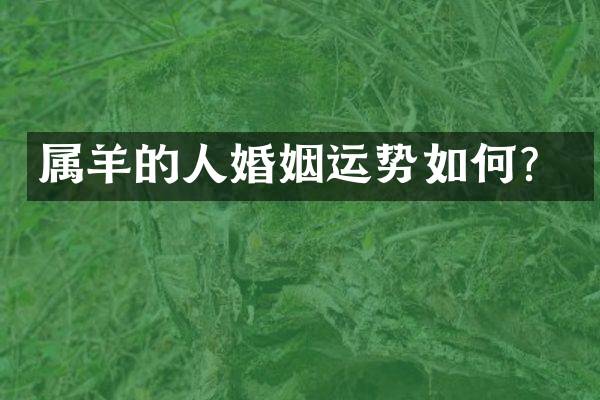 属羊的人婚姻运势如何？