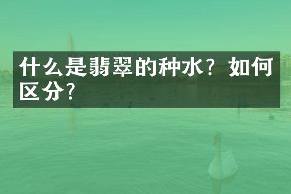 什么是翡翠的种水？如何区分？