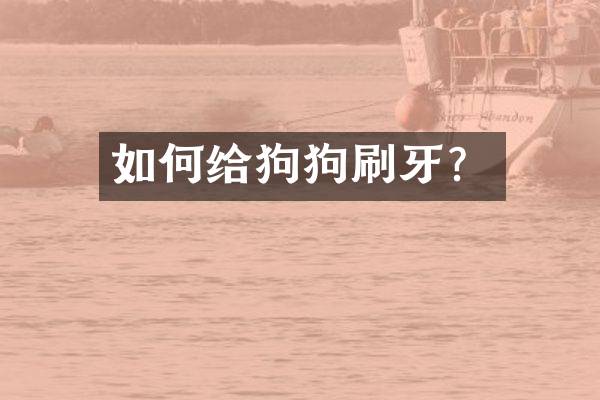 如何给狗狗刷牙？