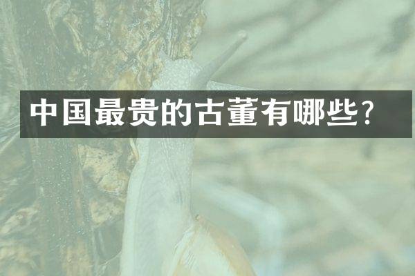 中国最贵的古董有哪些？