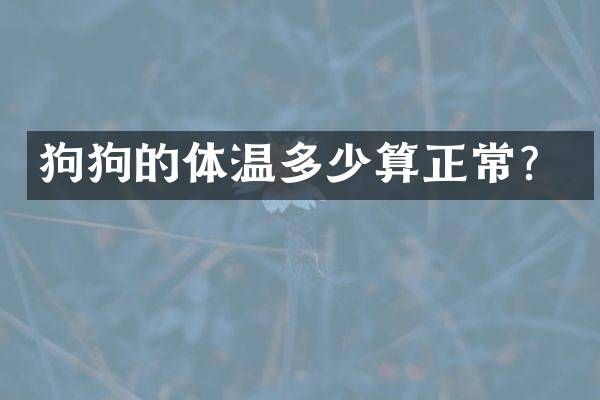 狗狗的体温多少算正常？