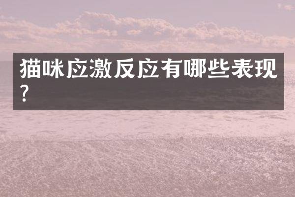 猫咪应激反应有哪些表现？