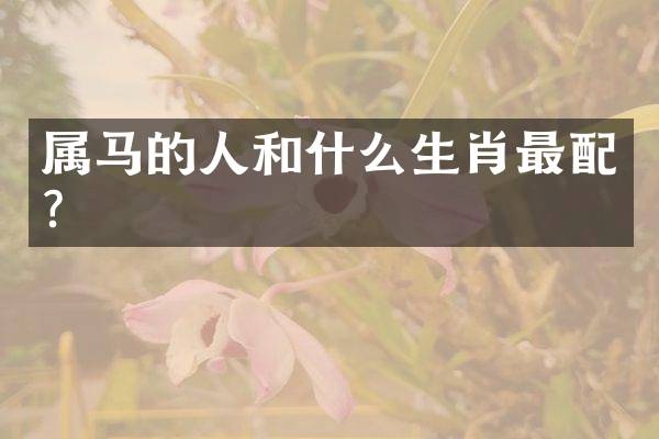 属马的人和什么生肖最配？