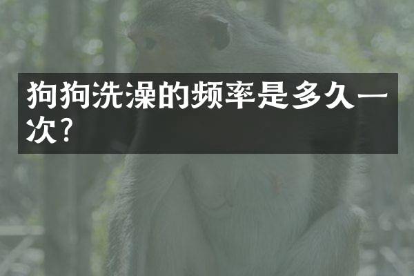 狗狗洗澡的频率是多久一次？