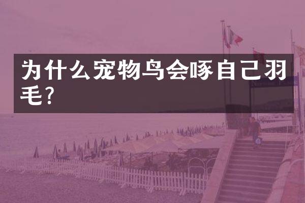 为什么宠物鸟会啄自己羽毛？