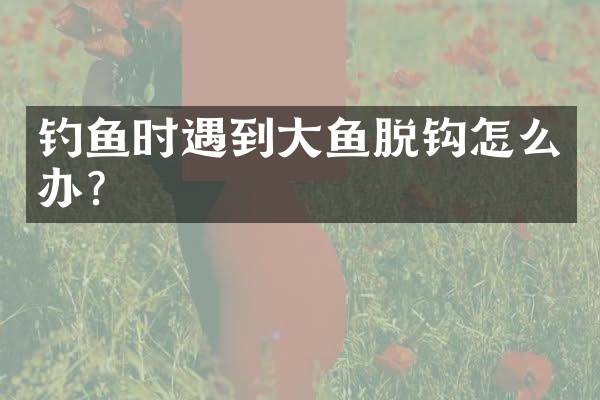 钓鱼时遇到大鱼脱钩怎么办?